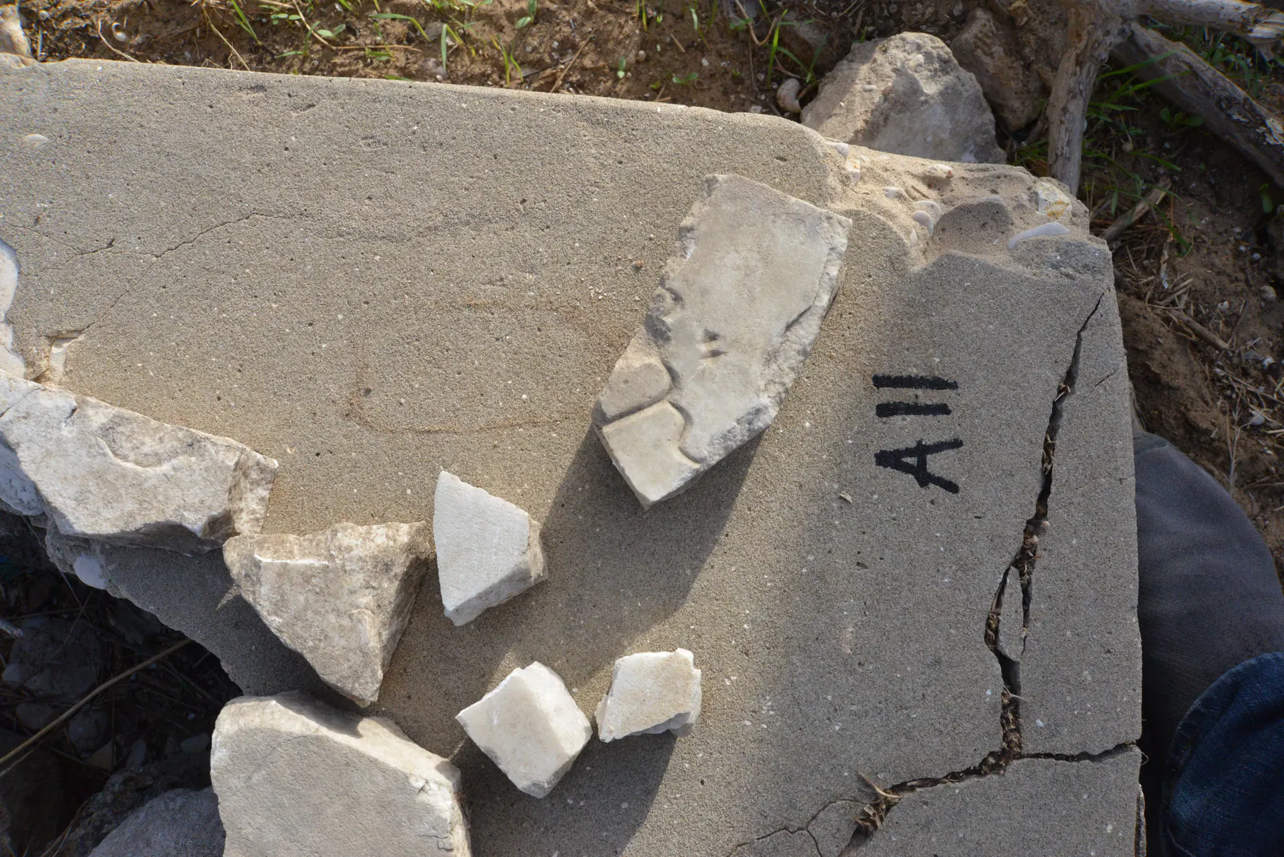 Tomb A11 for Jamileh KHALILI at the Jewish Cemetery of Saida