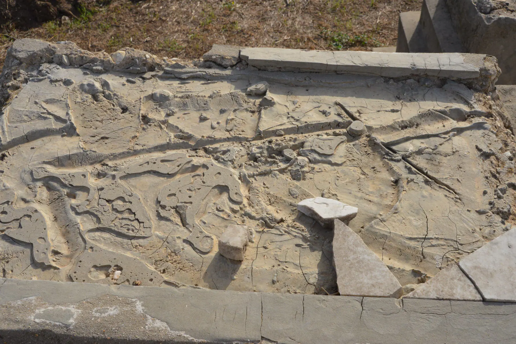 Tomb A31 for Tamam LEVY BASSAL, photograph 3 at the Jewish Cemetery of Saida