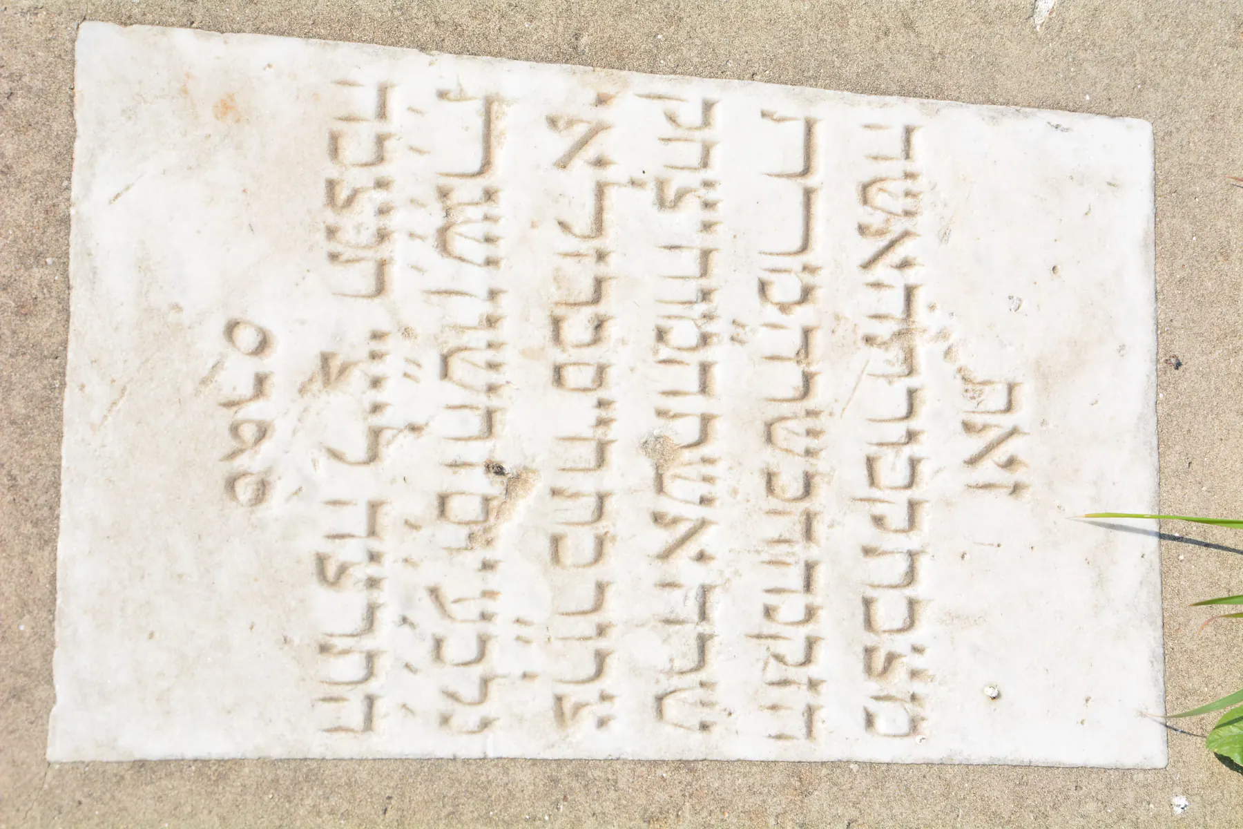 Tomb A35 for Sara SROUR, photograph 6 at the Jewish Cemetery of Saida