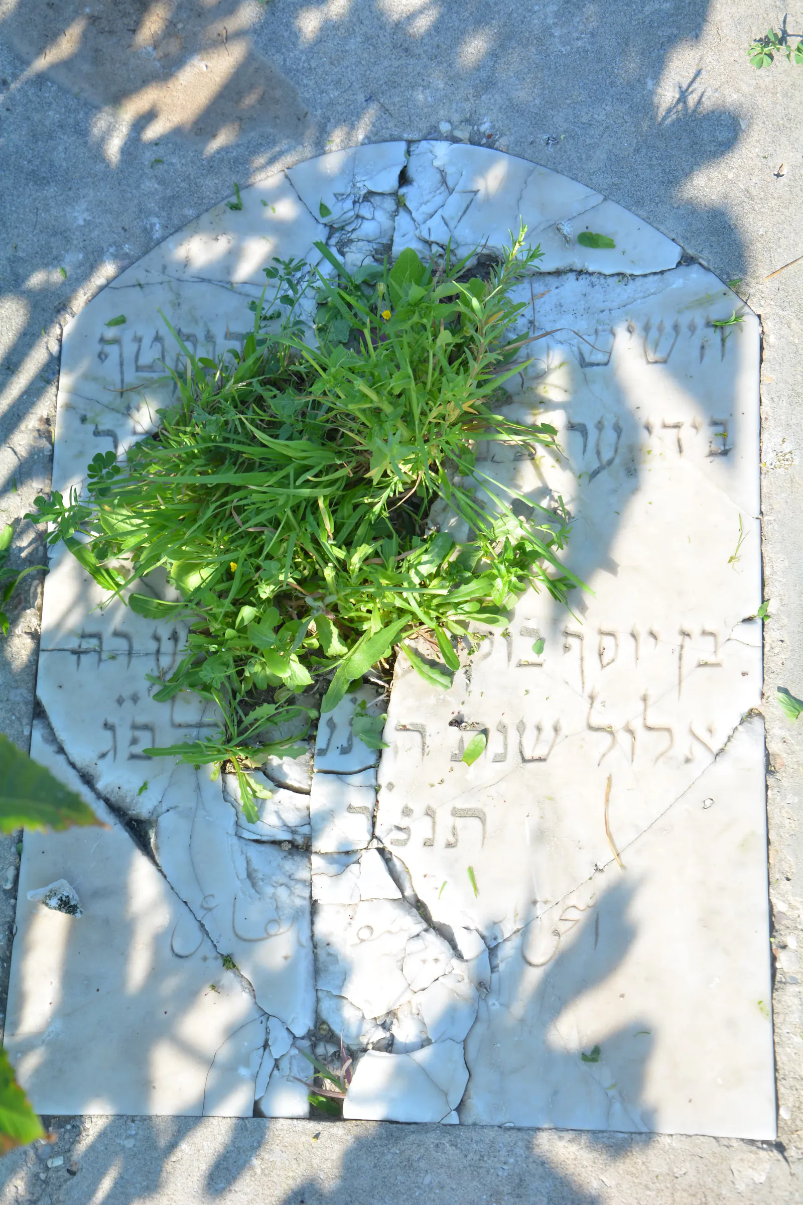 Tomb B38 for Isaac BOUKAI KHODRI, photograph 5 at the Jewish Cemetery of Saida