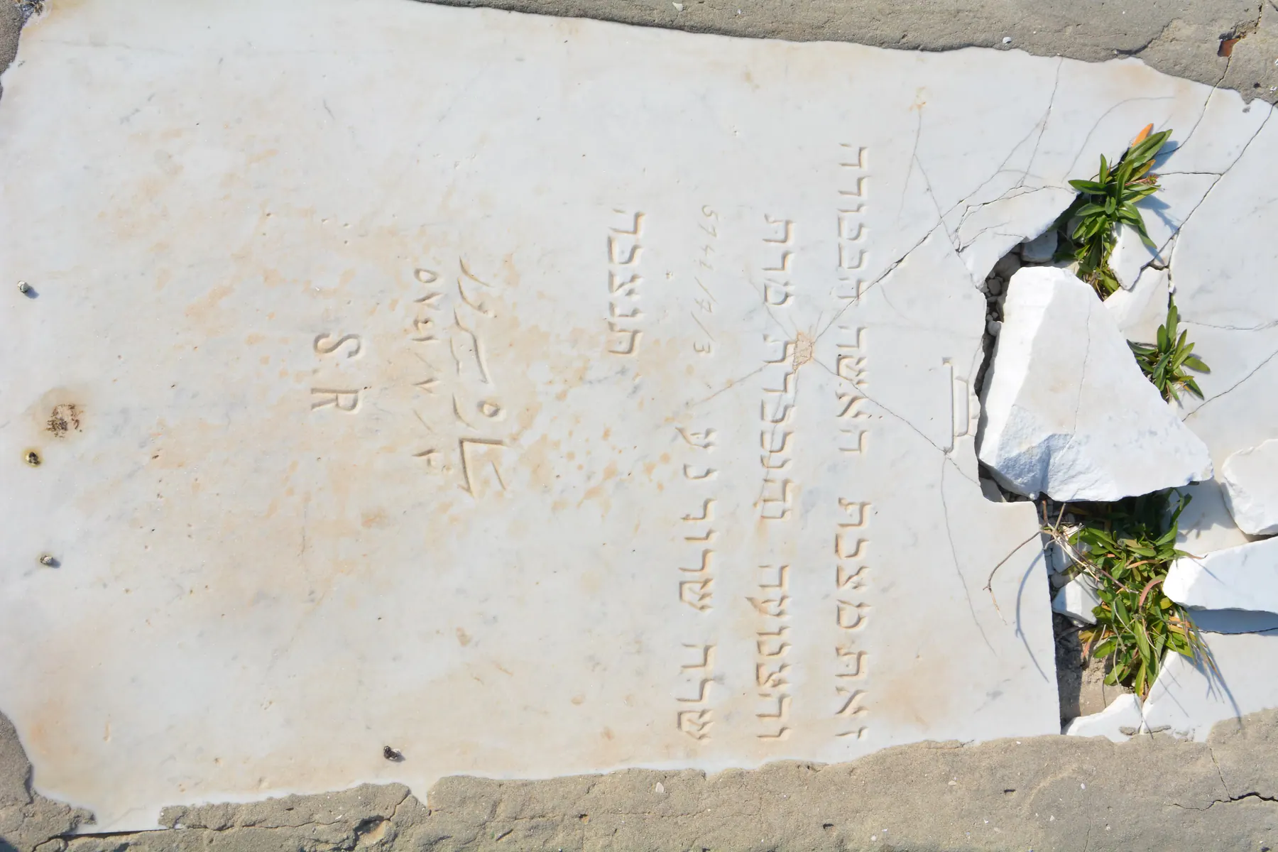 Tomb B50 for Sara SROUR, photograph 5 at the Jewish Cemetery of Saida