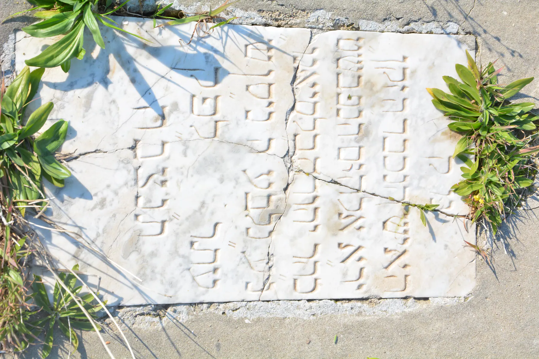 Tomb B53 for Yehouda BALACIANO, photograph 6 at the Jewish Cemetery of Saida