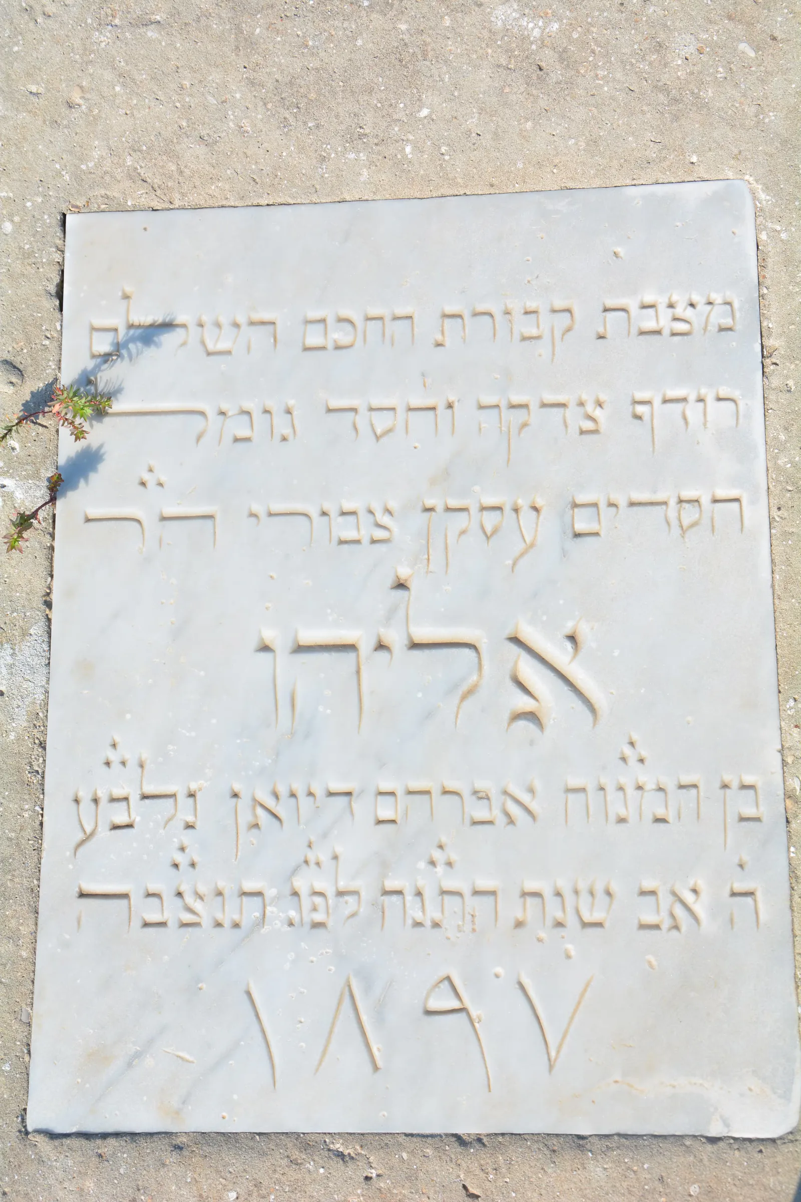Tomb B58 for Elyahou Rav DIWAN, photograph 5 at the Jewish Cemetery of Saida
