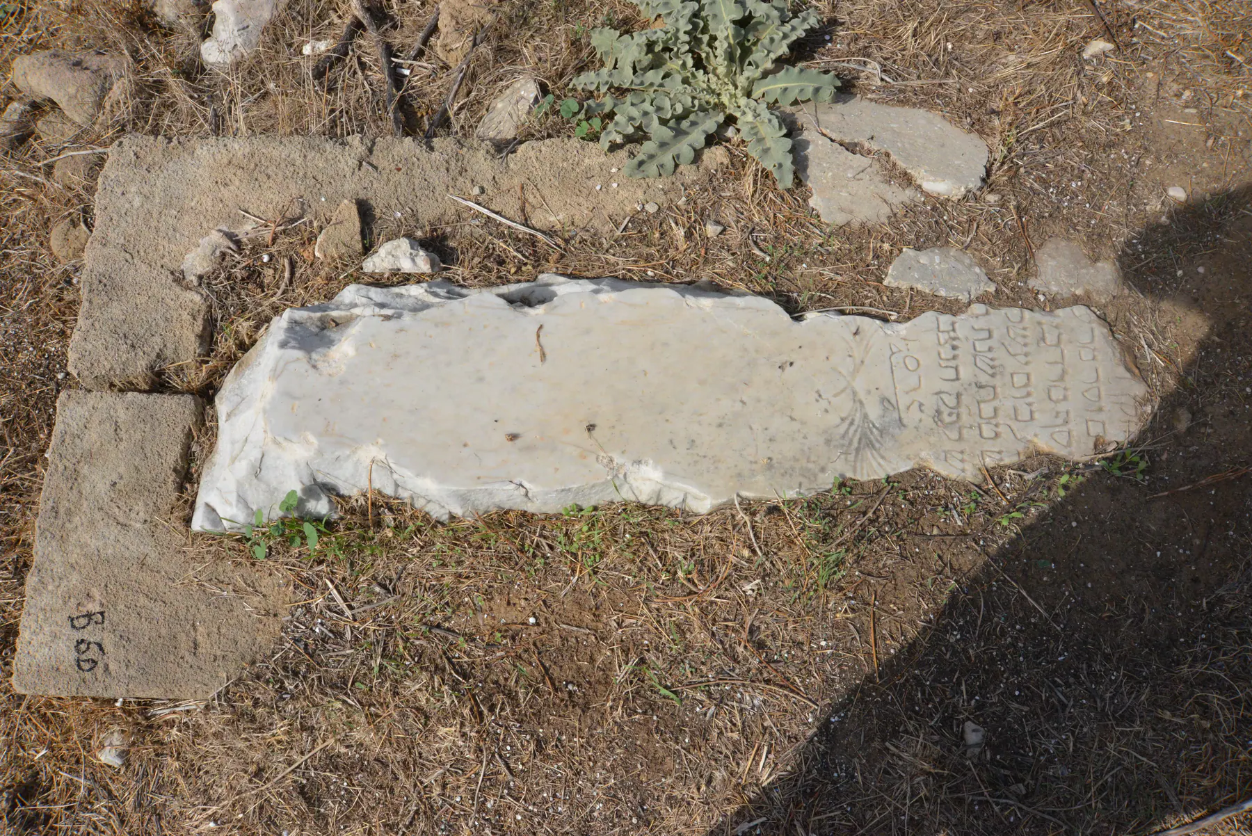 Tomb B60 for Youssef DANA, photograph 3 at the Jewish Cemetery of Saida