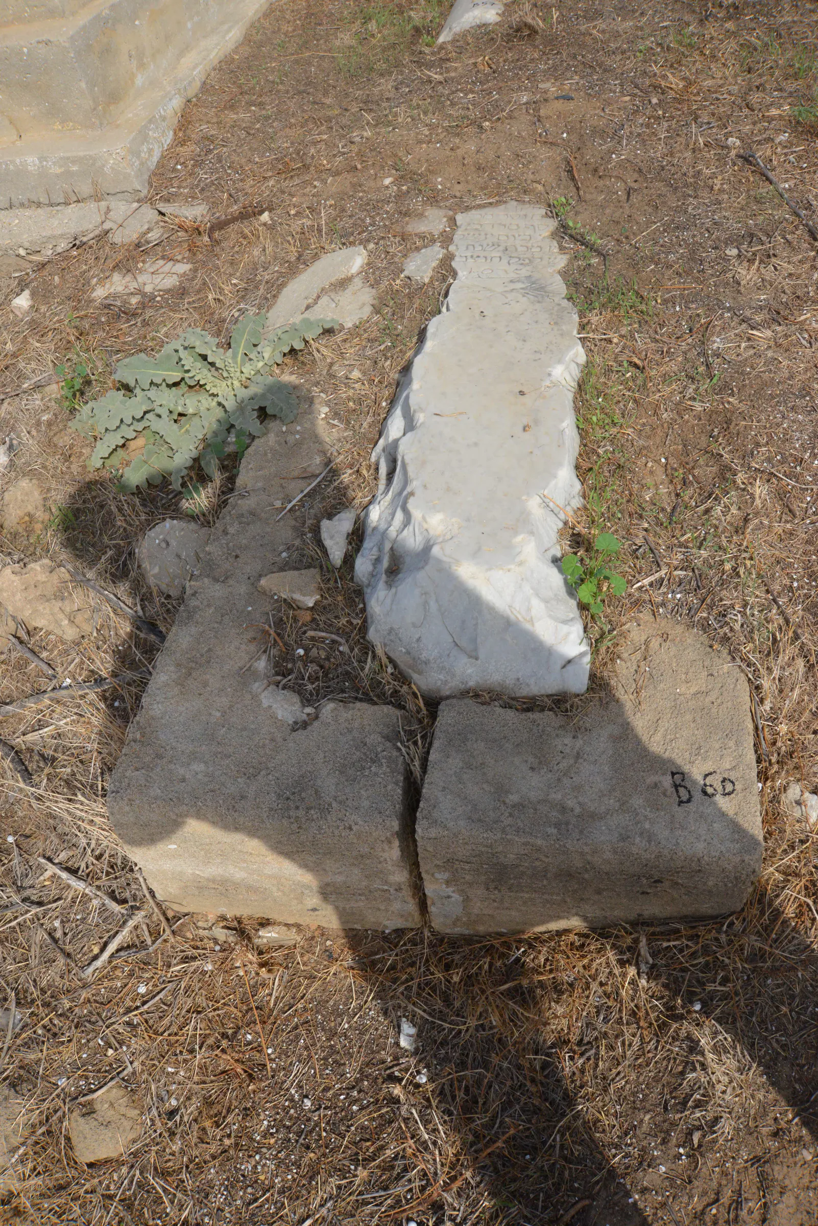Tomb B60 for Youssef DANA, photograph 4 at the Jewish Cemetery of Saida