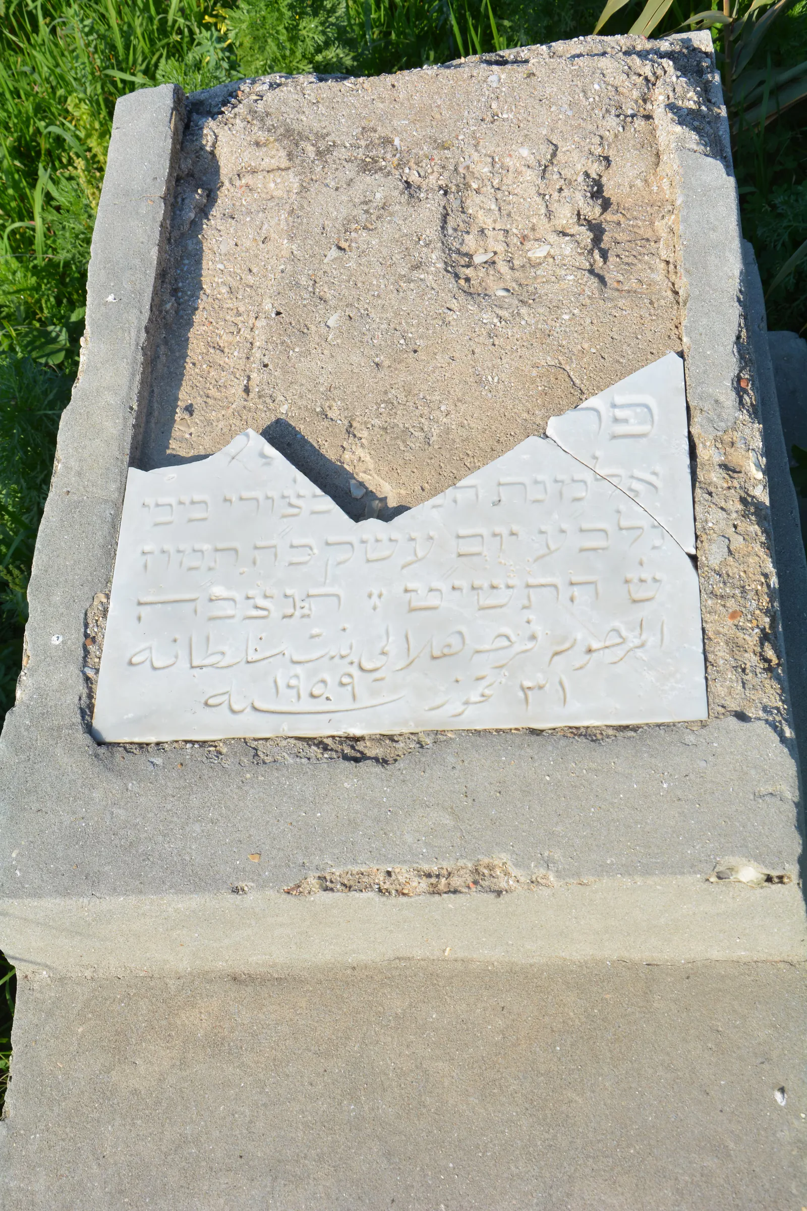 Tomb C12 for Farha HILALY, photograph 3 at the Jewish Cemetery of Saida