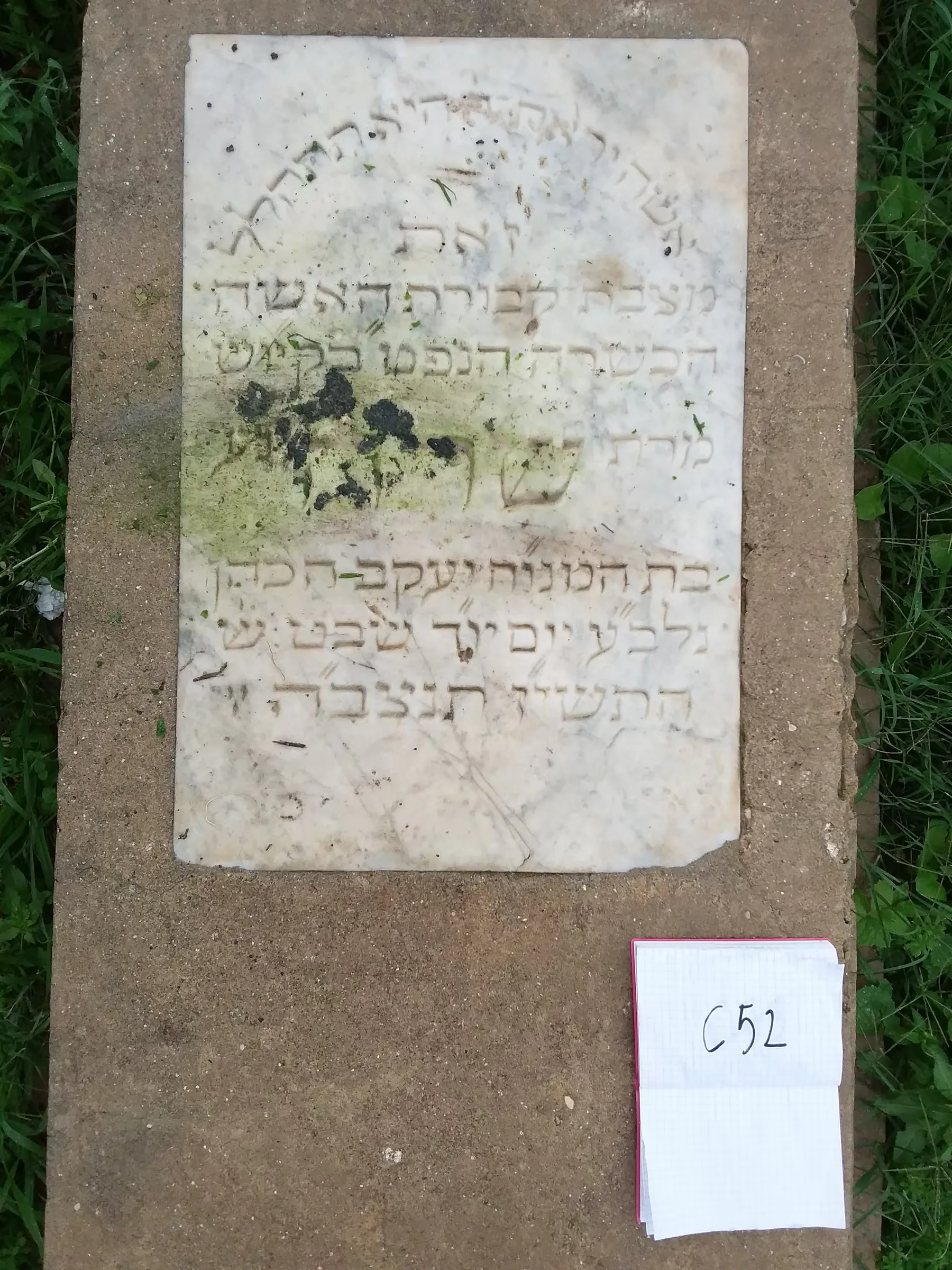 Tomb C52 for Sara COHEN, photograph 2 at the Jewish Cemetery of Saida