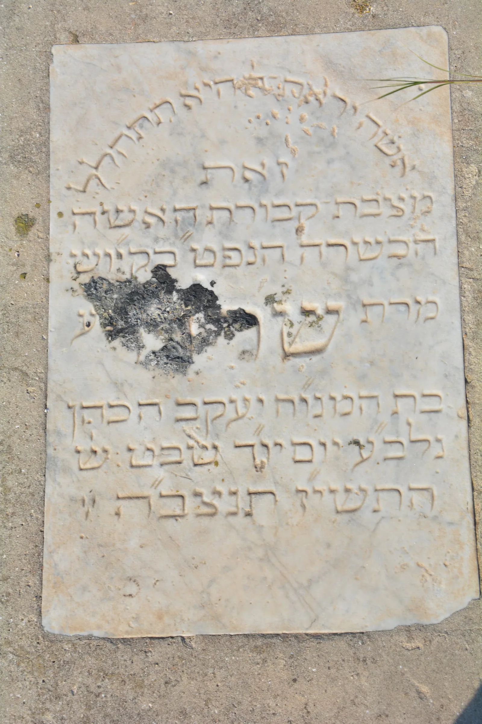 Tomb C52 for Sara COHEN, photograph 3 at the Jewish Cemetery of Saida