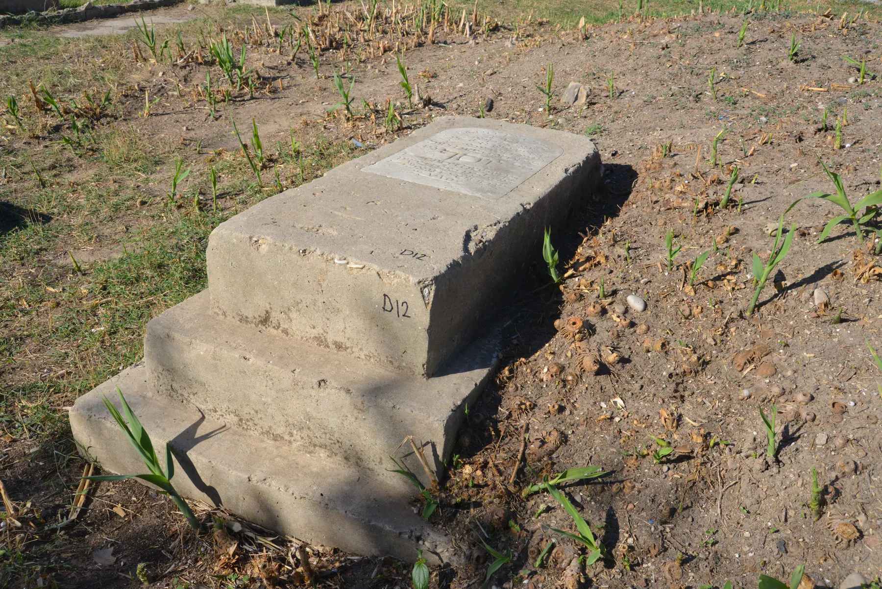 Tomb D12 for Youssef Rav ZEITOUNI, photograph 5 at the Jewish Cemetery of Saida