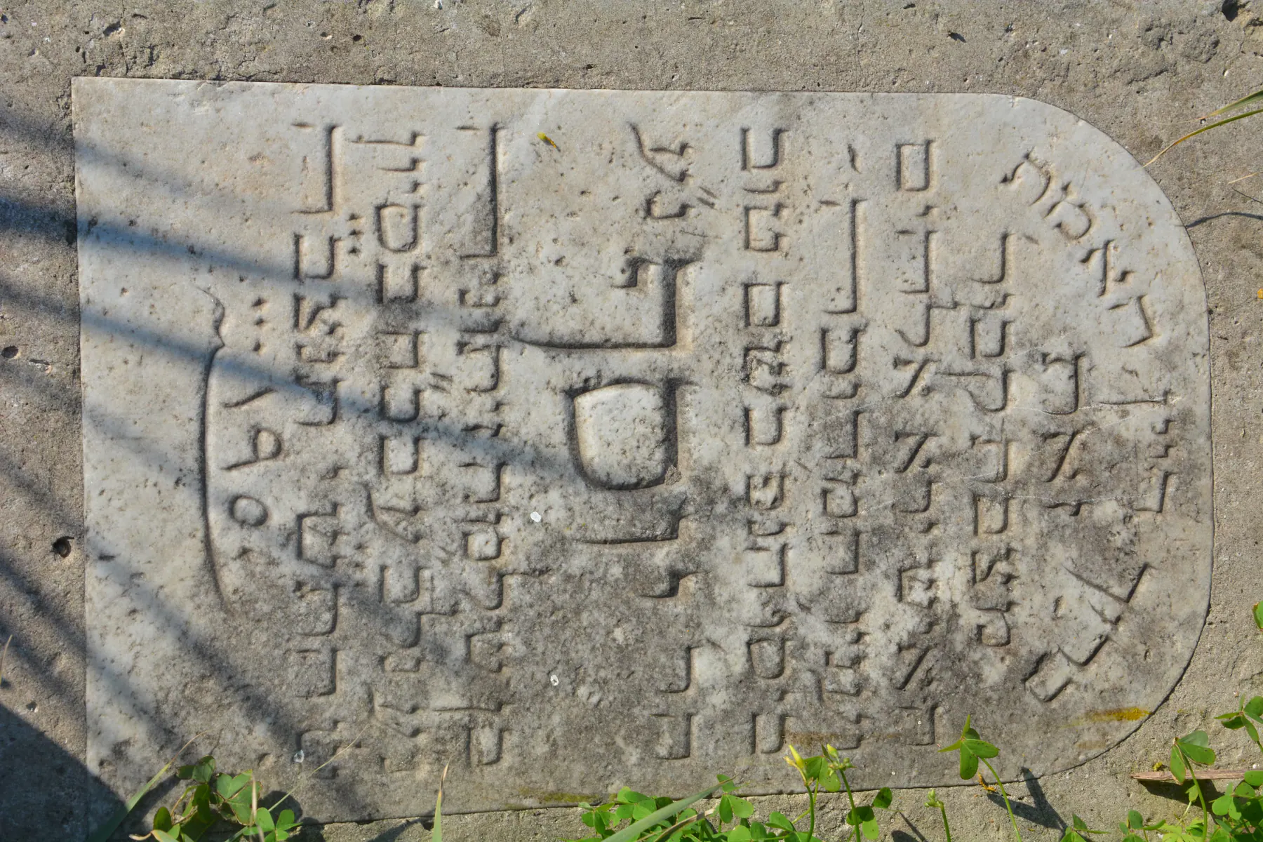 Tomb D12 for Youssef Rav ZEITOUNI, photograph 6 at the Jewish Cemetery of Saida