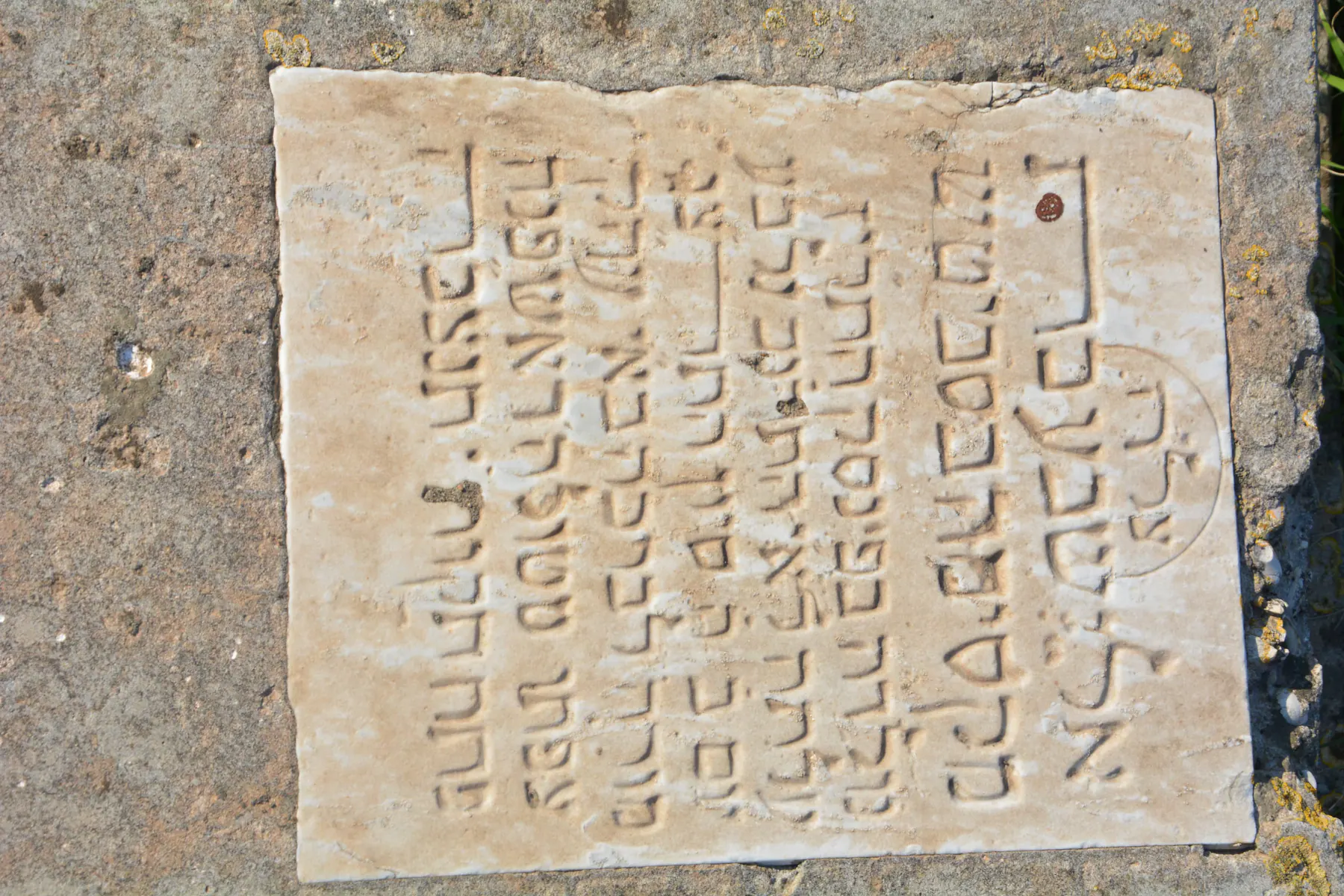 Tomb D16 for Elicheva BASSEVITCH, photograph 6 at the Jewish Cemetery of Saida