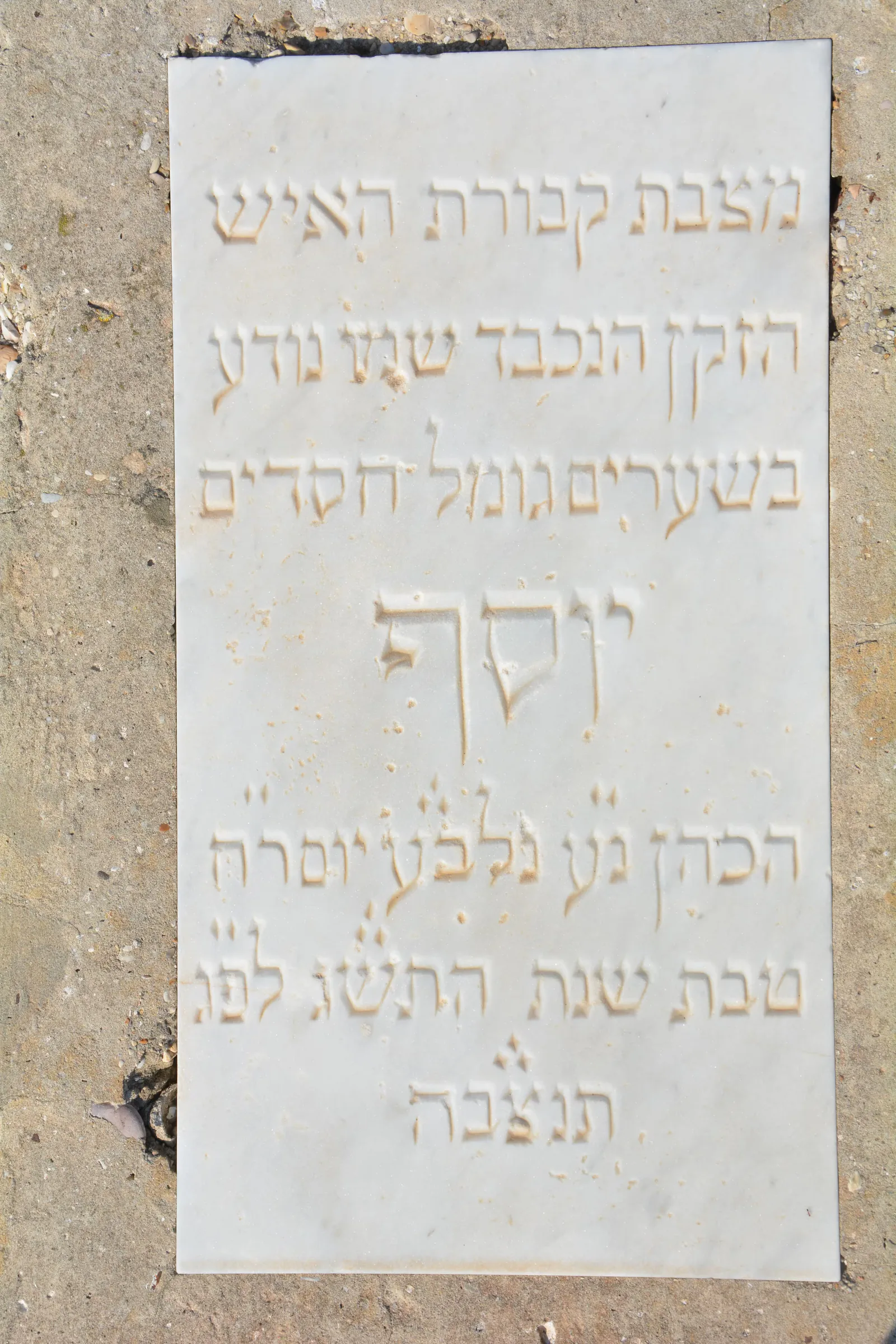 Tomb D17 for Youssef COHEN, photograph 6 at the Jewish Cemetery of Saida