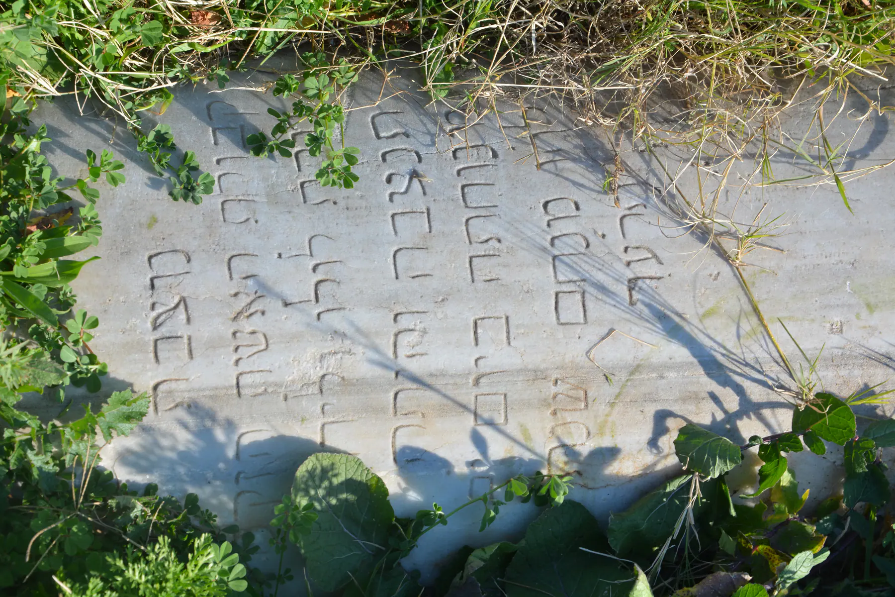 Tomb D25 for Loulou VALIDO KHAYAT, photograph 5 at the Jewish Cemetery of Saida