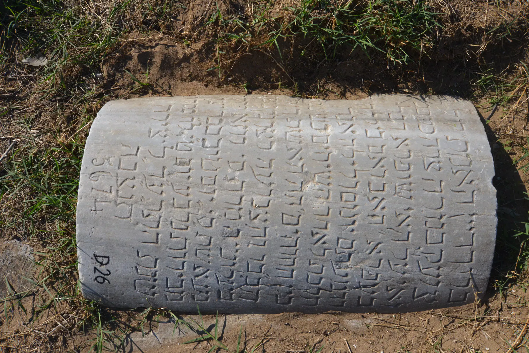 Tomb D26 for Rosa Rachel BEKHOR, photograph 4 at the Jewish Cemetery of Saida