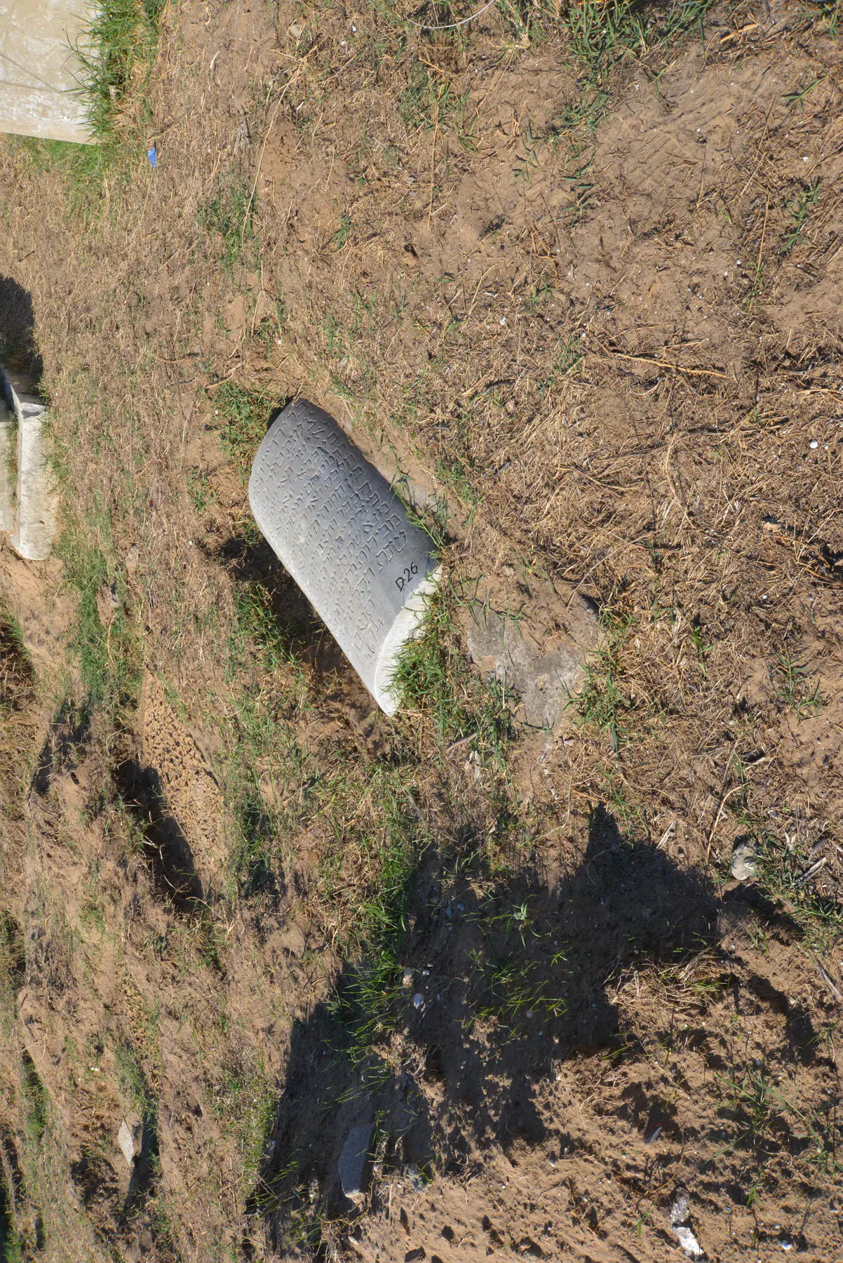 Tomb D26 for Rosa Rachel BEKHOR, photograph 6 at the Jewish Cemetery of Saida
