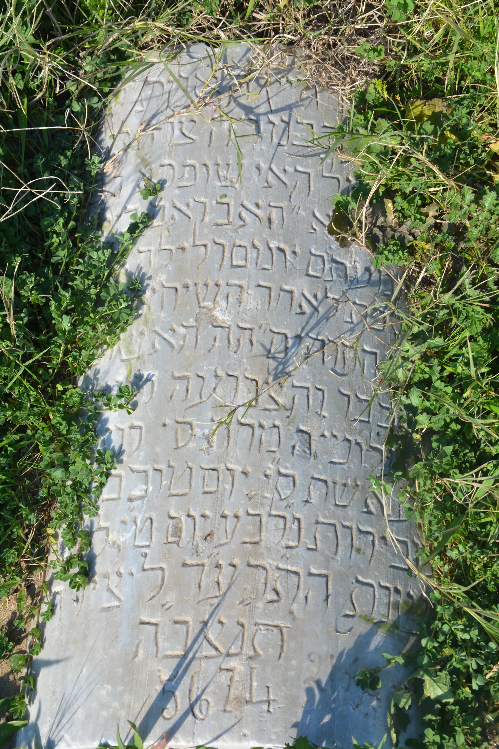 Tomb D26 for Rosa Rachel BEKHOR, photograph 7 at the Jewish Cemetery of Saida