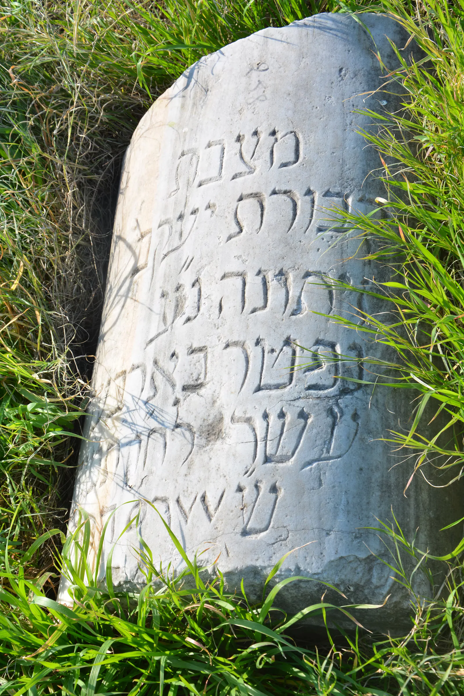 Tomb D42 for Yaacoub ZEITOUNI, photograph 2 at the Jewish Cemetery of Saida