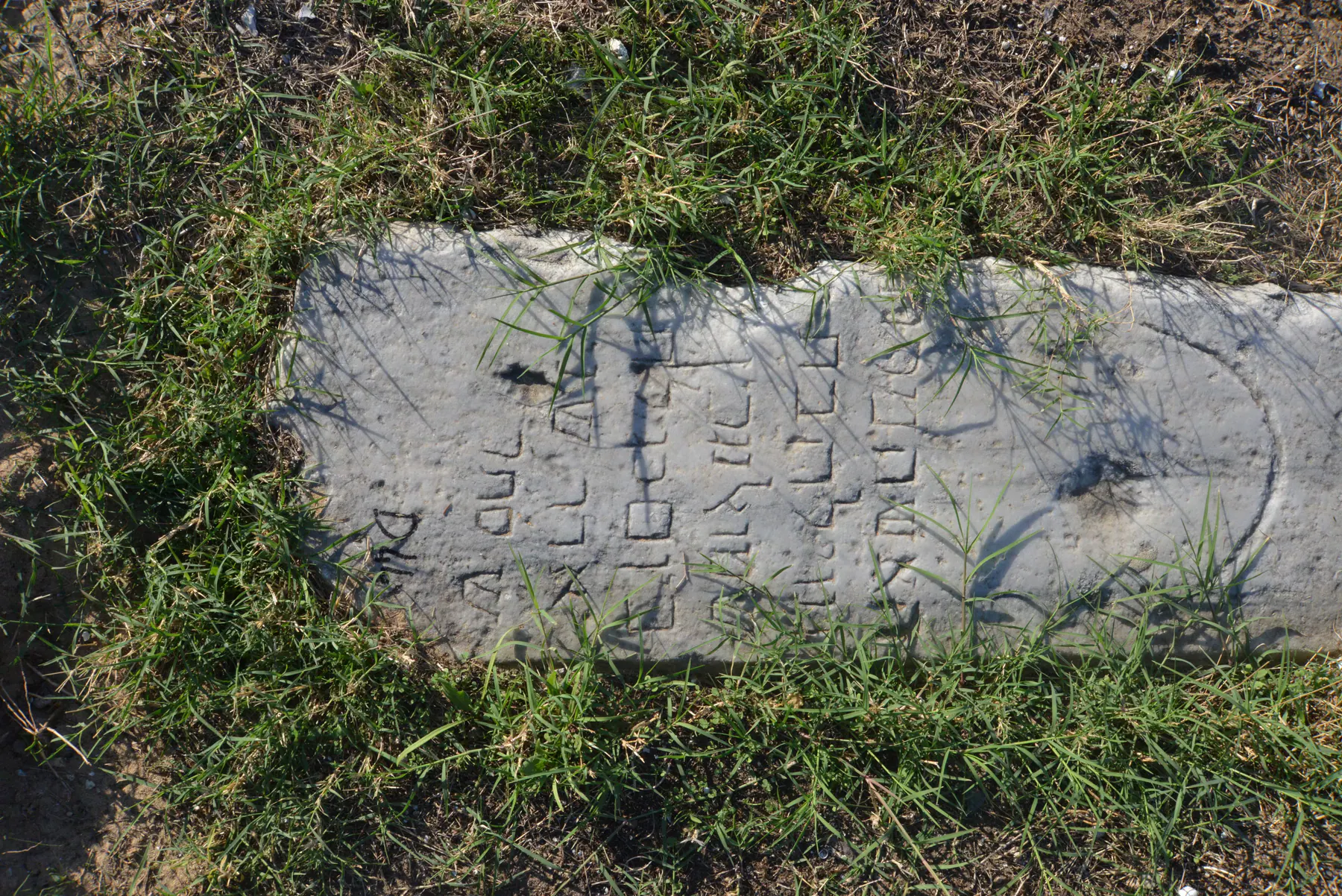 Tomb D44 for Gabriela CHWARTZ, photograph 2 at the Jewish Cemetery of Saida