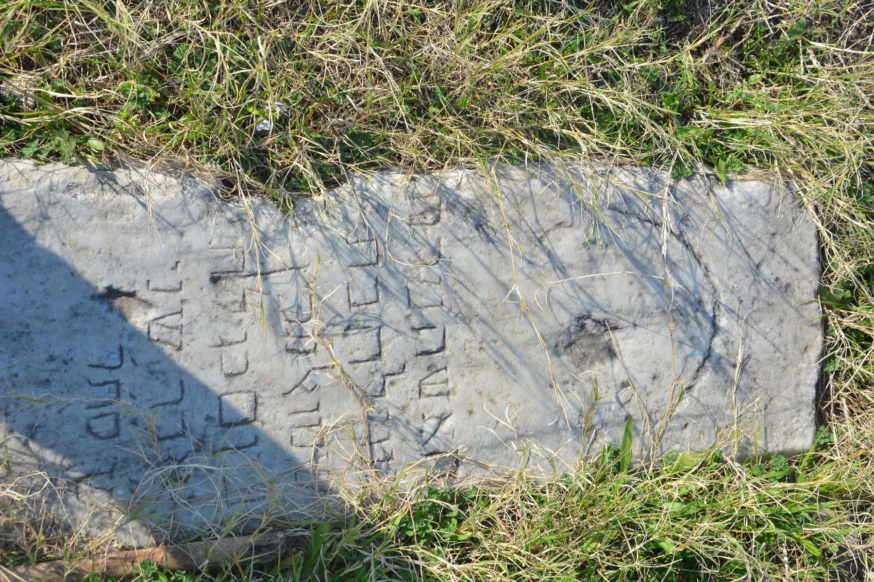 Tomb D44 for Gabriela CHWARTZ, photograph 5 at the Jewish Cemetery of Saida