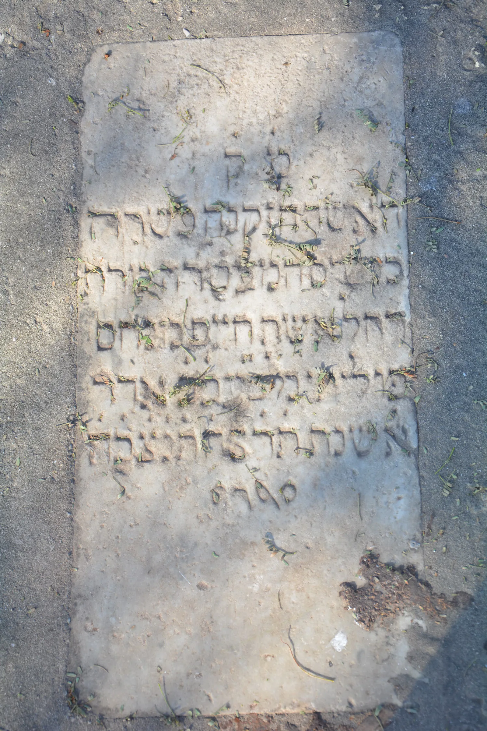 Tomb E13 for Rachel POLITI, photograph 2 at the Jewish Cemetery of Saida