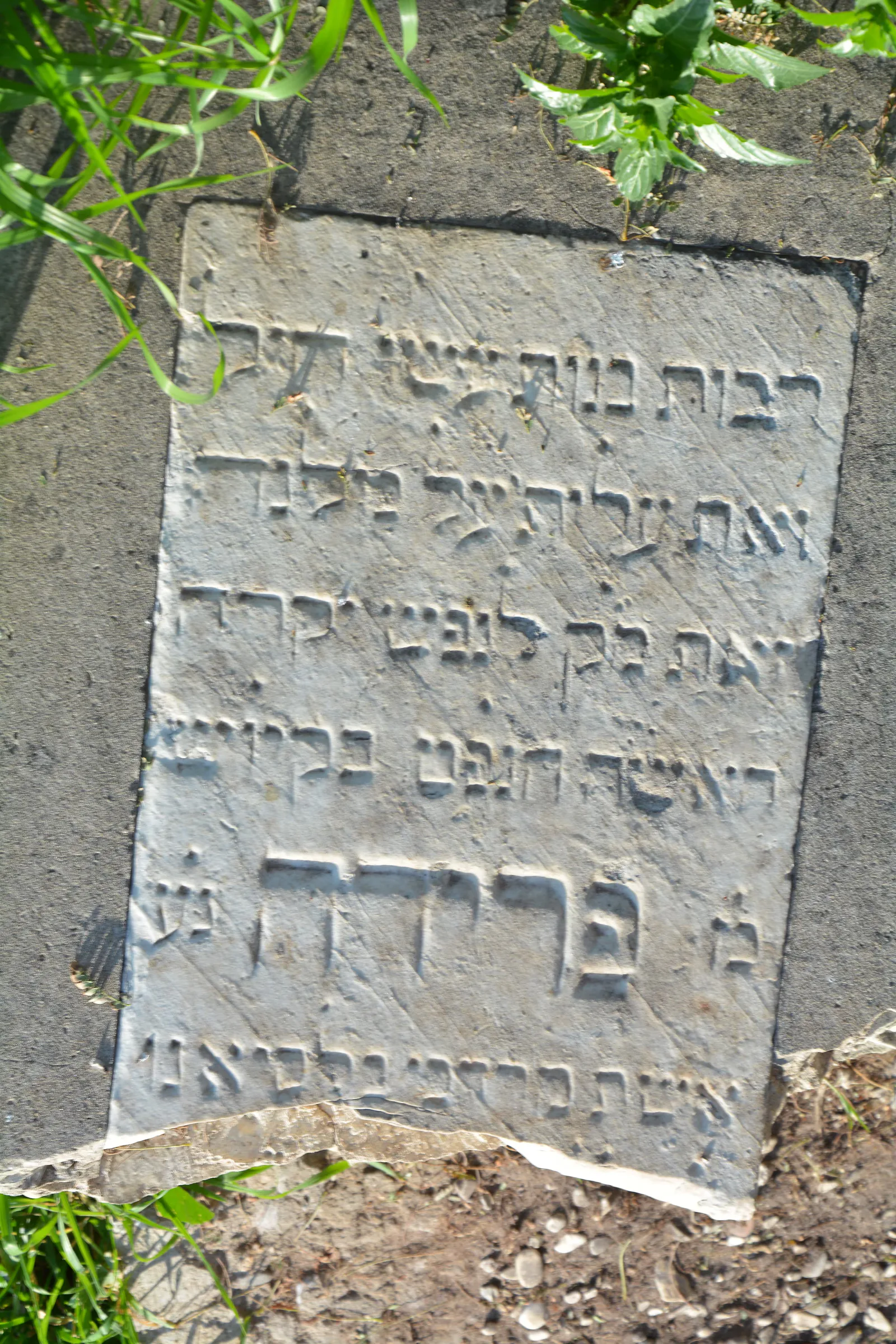 Tomb E15 for Farideh BALACIANO, photograph 2 at the Jewish Cemetery of Saida