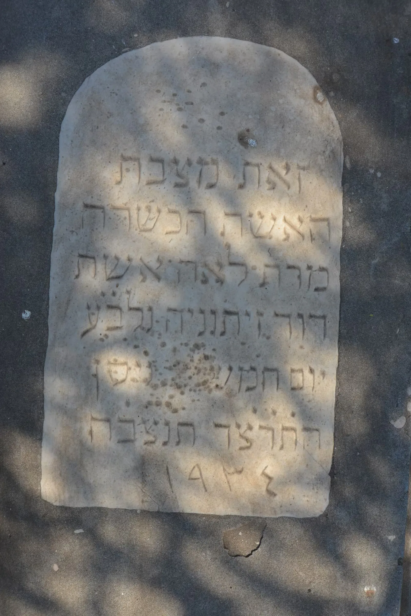 Tomb E17 for Lea ZEITOUNI, photograph 3 at the Jewish Cemetery of Saida