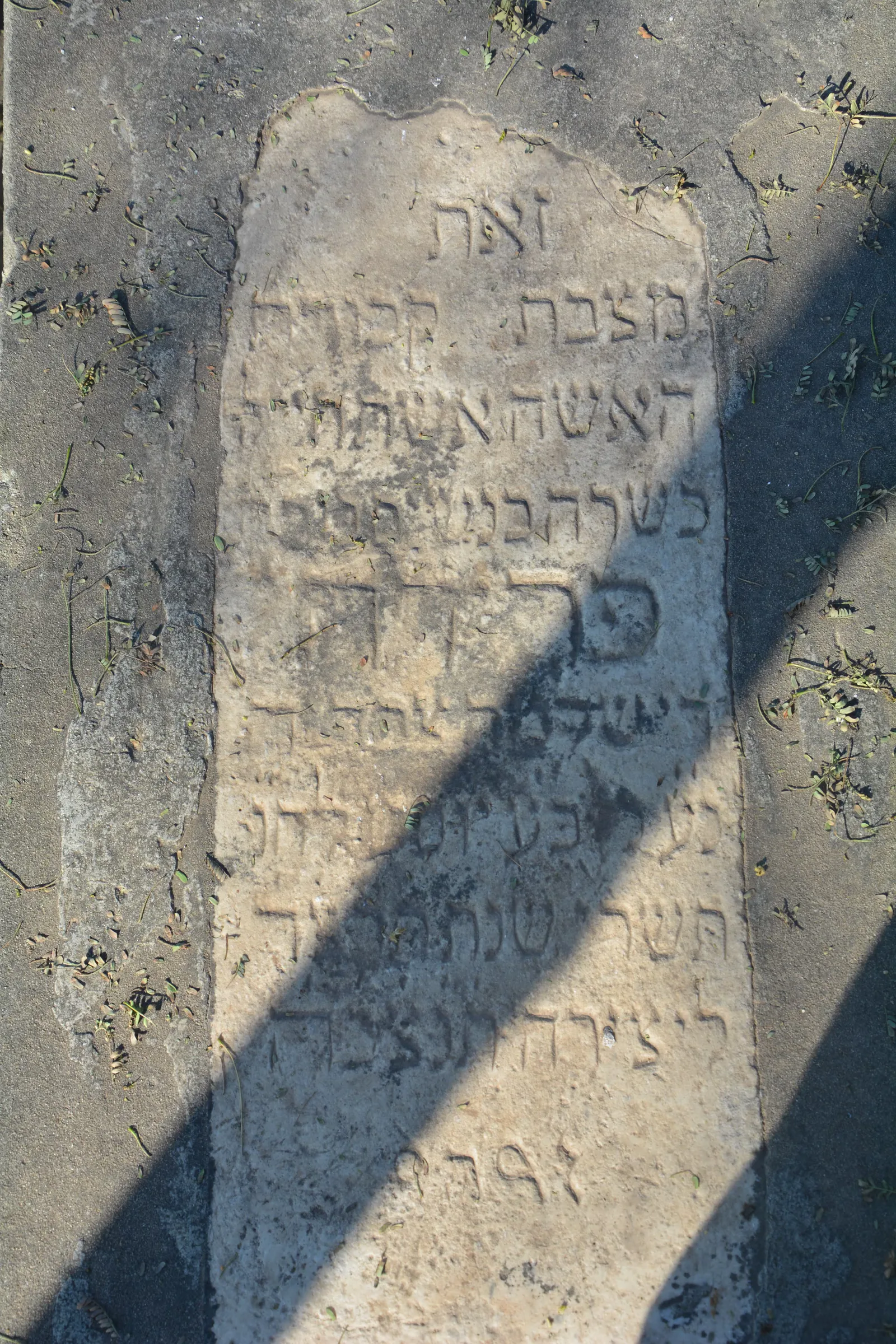 Tomb E2 for Farideh SAFDIEH, photograph 2 at the Jewish Cemetery of Saida