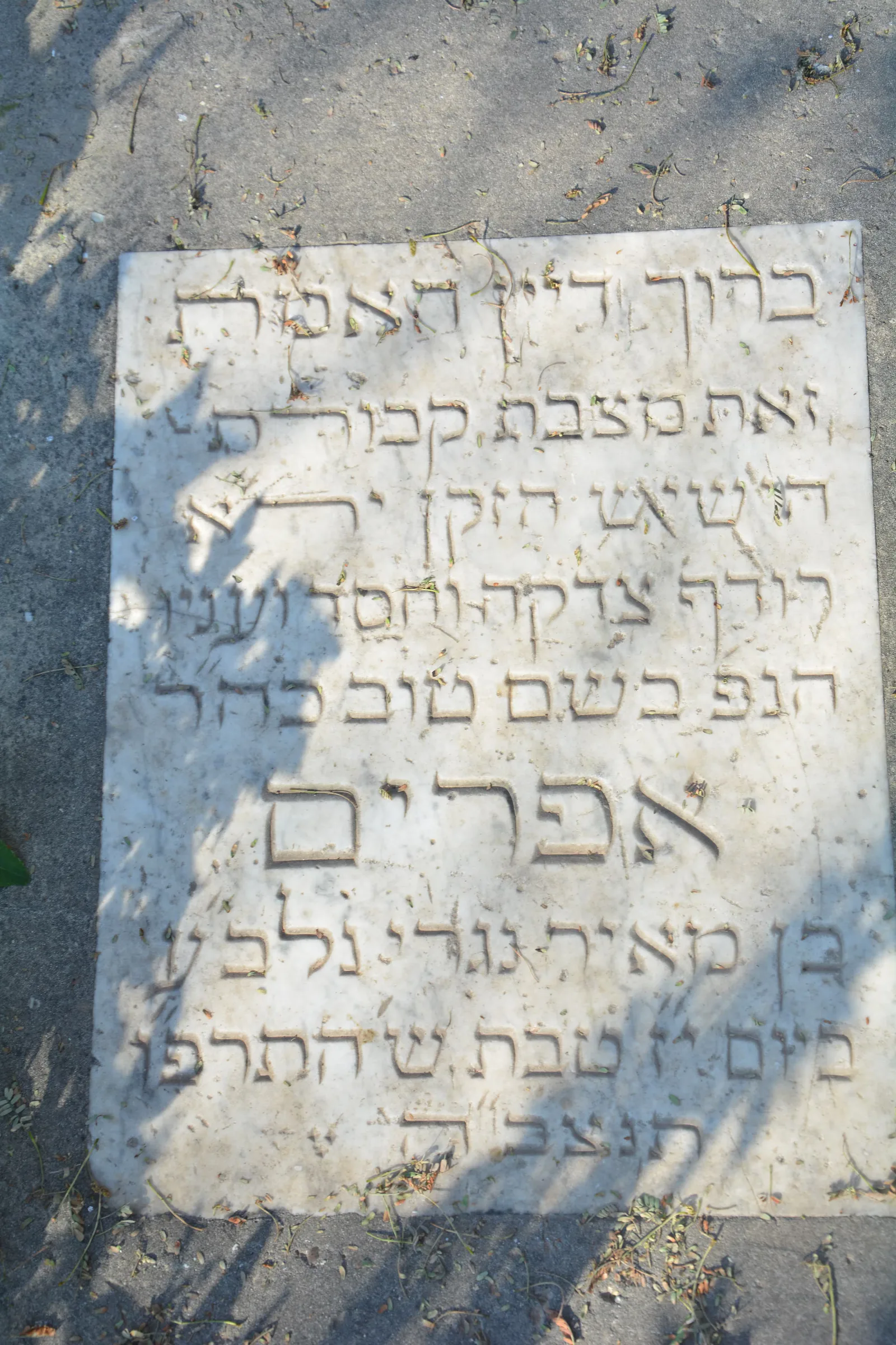 Tomb E25 for Efraim NIGRI, photograph 2 at the Jewish Cemetery of Saida