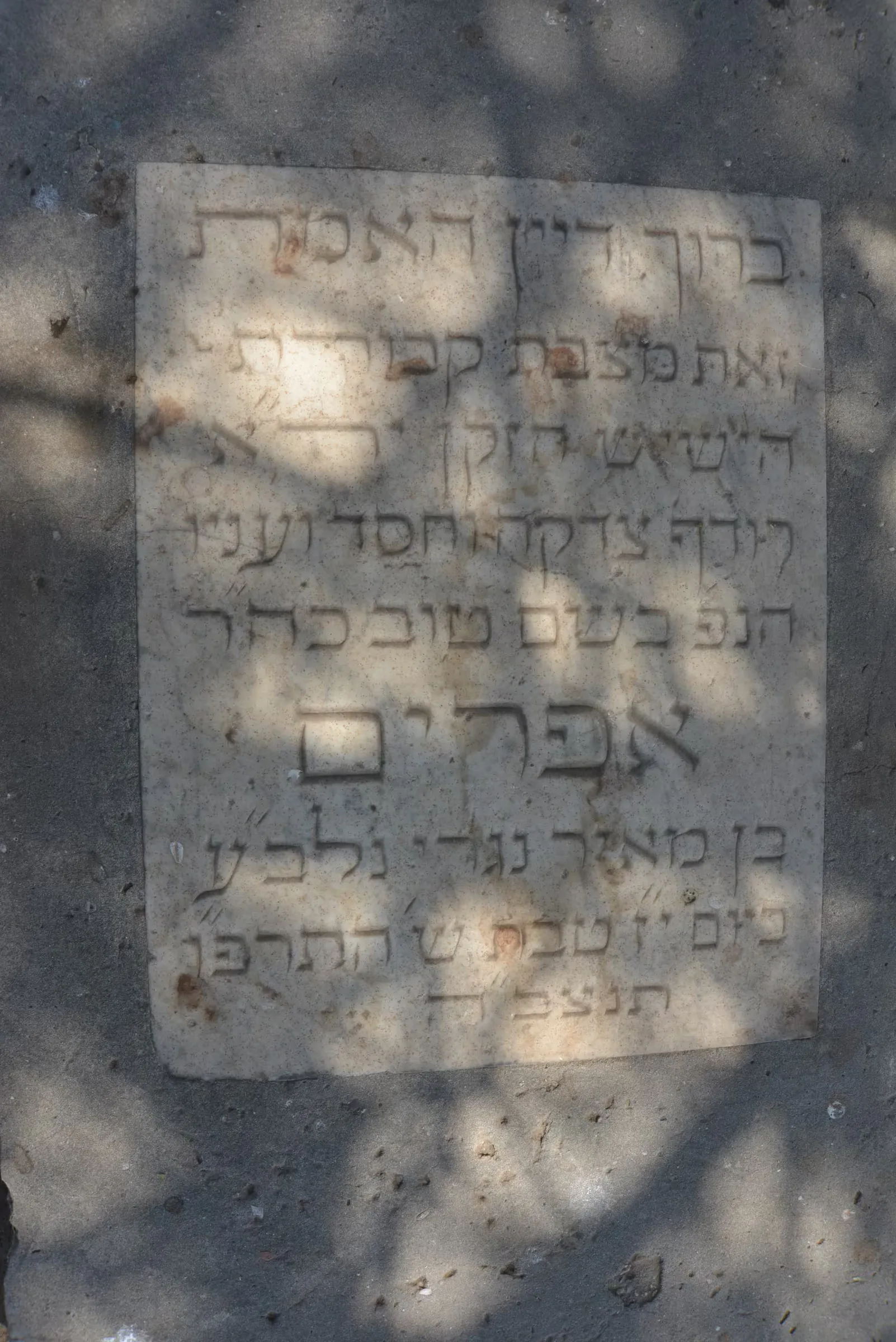 Tomb E25 for Efraim NIGRI, photograph 3 at the Jewish Cemetery of Saida