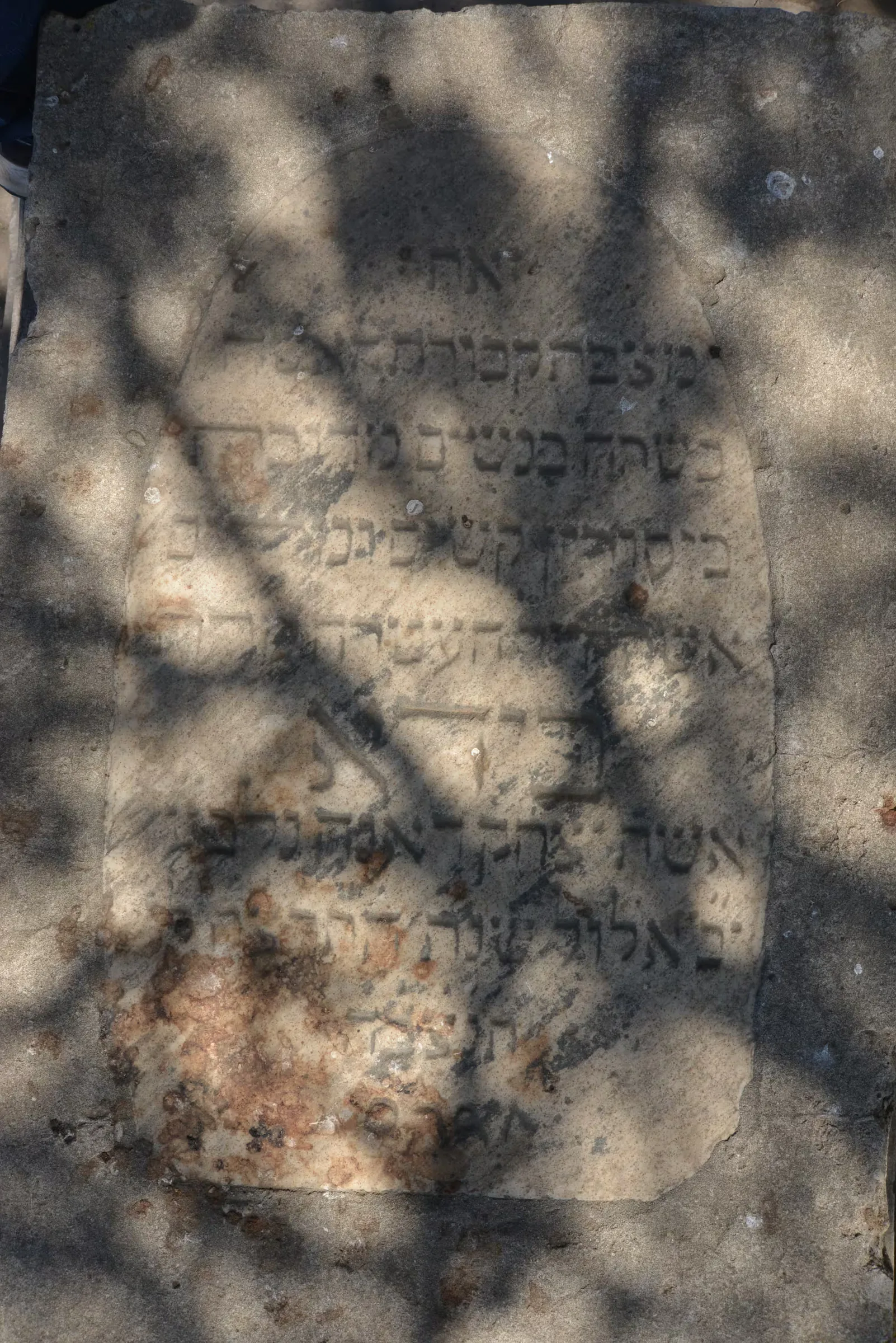 Tomb E32 for Beida DANA, photograph 5 at the Jewish Cemetery of Saida