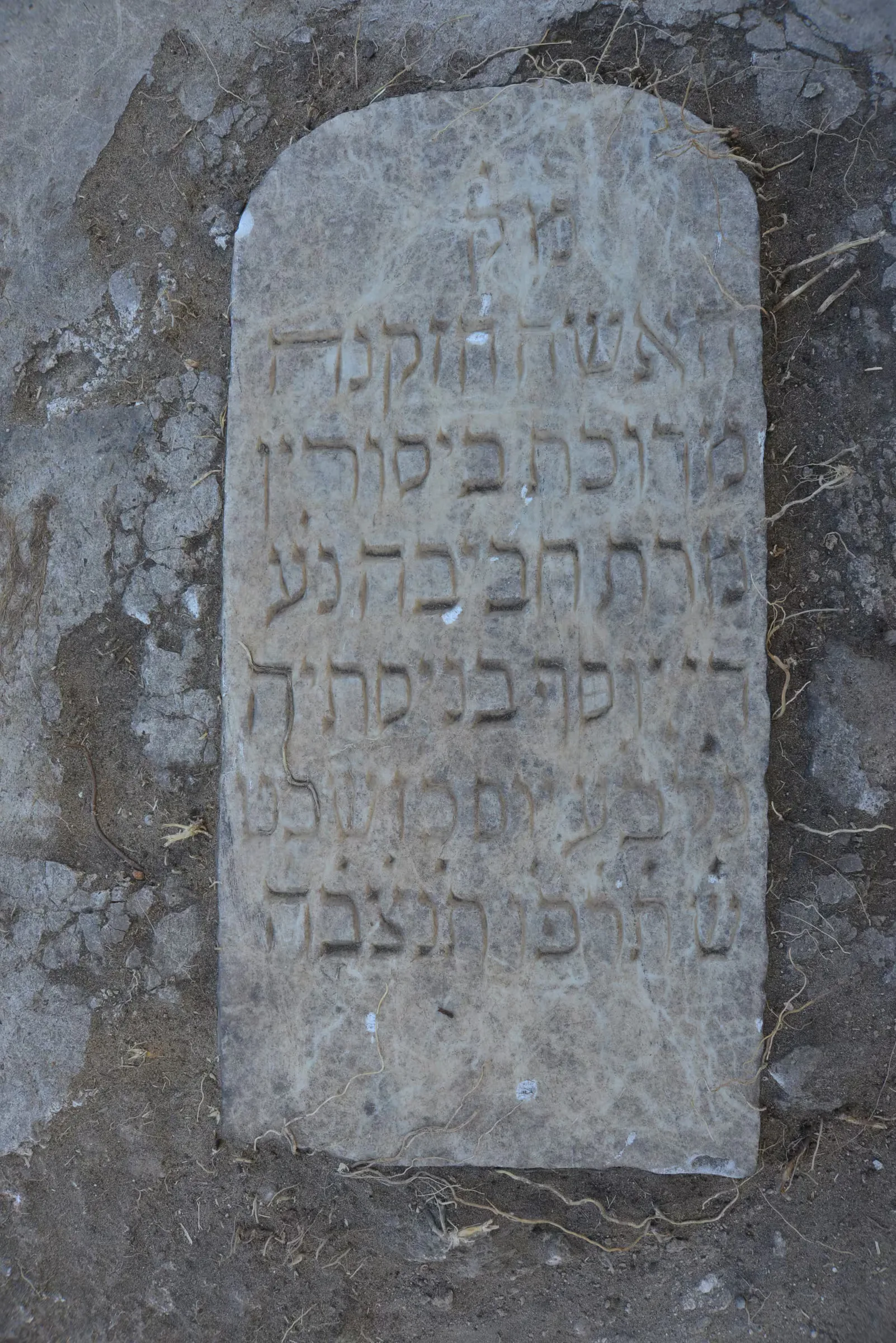 Tomb EN1 for Habiba BENISTE, photograph 2 at the Jewish Cemetery of Saida